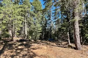 12664 Last Chance Mine Rd, Nevada City, CA 95959 - Photo 1