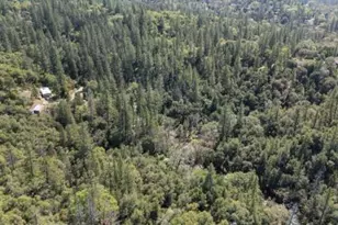 6360 Dean Rd, Mount Aukum, CA 95656 - Photo 17