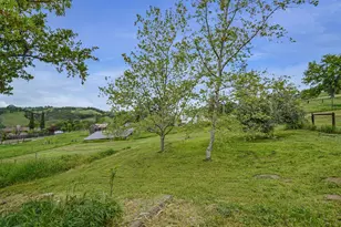 14849 Bunker Hill Rd, Amador City, CA 95601 - Photo 63