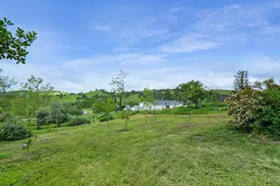 14849 Bunker Hill Rd, Amador City, CA 95601 - Photo 5