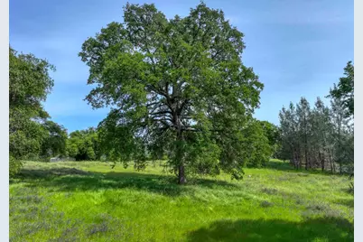 1301 Lomita Court, El Dorado Hills, CA 95762 - Photo 5