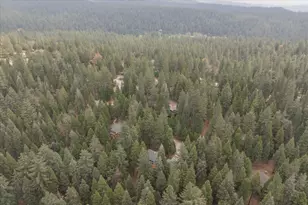 845 Honey Ct, Arnold, CA 95247 - Photo 59