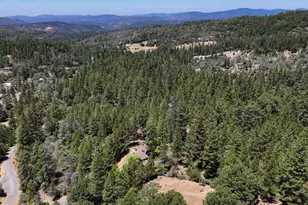 16934 Indian Flat Rd, Nevada City, CA 95959 - Photo 49