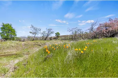 0 Lodoga Stonyford Road, Stonyford, CA 95979 - Photo 19