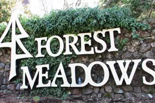 291 Fairway Village Dr, Murphys, CA 95247 - Photo 37