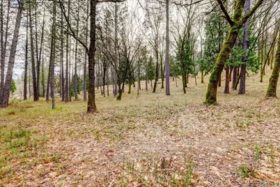 12787 Mystic Mine Road, Nevada City, CA 95959 - Photo 49