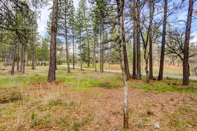 12787 Mystic Mine Road, Nevada City, CA 95959 - Photo 53