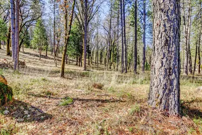 12787 Mystic Mine Road, Nevada City, CA 95959 - Photo 73