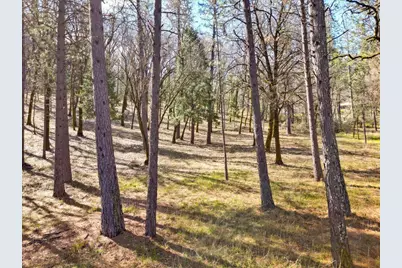 12787 Mystic Mine Road, Nevada City, CA 95959 - Photo 29