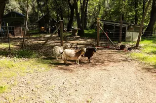 4540 Kruk Trail, Placerville, CA 95667 - Photo 45