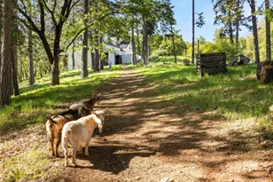 4540 Kruk Trail, Placerville, CA 95667 - Photo 9
