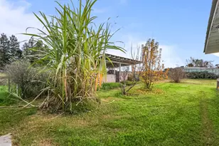 11430 Walnut Ave, Oakdale, CA 95361 - Photo 49
