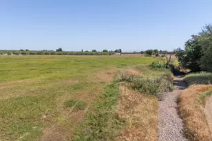 509 Wyer Rd, Arbuckle, CA 95912 - Photo 81