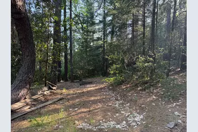 19810 Grizzly Creek Road, Nevada City, CA 95959 - Photo 3