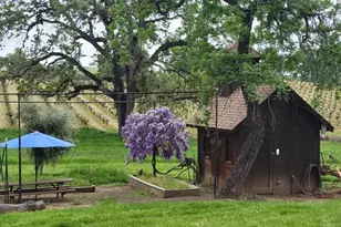 10120 Shenandoah Rd, Plymouth, CA 95669 - Photo 87