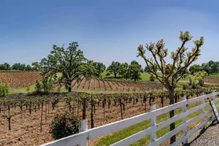 10120 Shenandoah Rd, Plymouth, CA 95669 - Photo 3