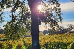 10120 Shenandoah Rd, Plymouth, CA 95669 - Photo 91