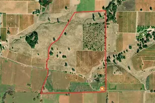 20865 Shenandoah School Rd, Plymouth, CA 95669 - Photo 3