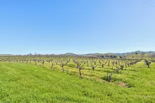 20865 Shenandoah School Rd, Plymouth, CA 95669 - Photo 55