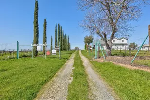 20865 Shenandoah School Rd, Plymouth, CA 95669 - Photo 39