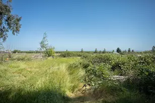 633 Cox Ln, Oroville, CA 95965 - Photo 61