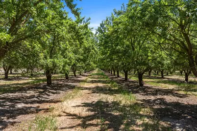 16161 S Murphy Road, Escalon, CA 95320 - Photo 1