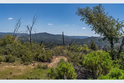 5901 Old Emigrant Trail, Mountain Ranch, CA 95246 - Photo 11