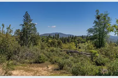 5901 Old Emigrant Trail, Mountain Ranch, CA 95246 - Photo 13