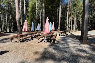 11306 Winding Way, Clipper Mills, CA 95930 - Photo 77