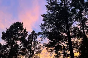 3500 Magpie Ln, Camino, CA 95709 - Photo 73