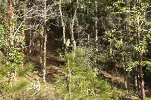 3500 Magpie Ln, Camino, CA 95709 - Photo 71