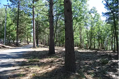 29 Ridge View Road, Foresthill, CA 95631 - Photo 11