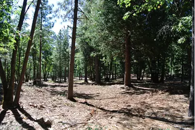 29 Ridge View Road, Foresthill, CA 95631 - Photo 9