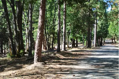 29 Ridge View Road, Foresthill, CA 95631 - Photo 19