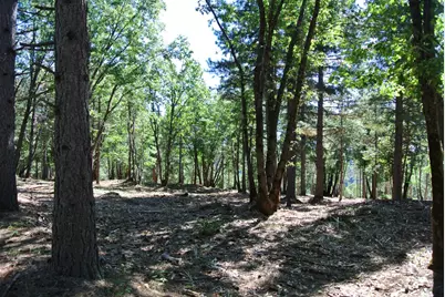 29 Ridge View Road, Foresthill, CA 95631 - Photo 5