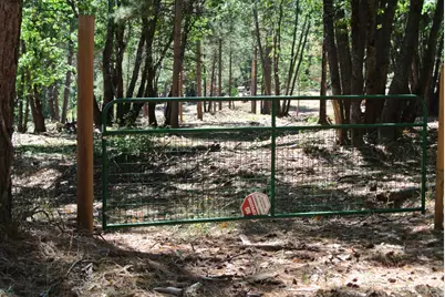 29 Ridge View Road, Foresthill, CA 95631 - Photo 17