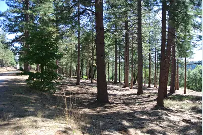 29 Ridge View Road, Foresthill, CA 95631 - Photo 13