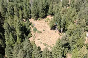 3772 Tin Ranch Rd, Georgetown, CA 95634 - Photo 1