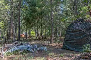 7440 Bear State Rd, Georgetown, CA 95634 - Photo 7