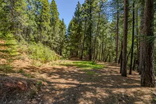 18720 Circle View Dr, Pioneer, CA 95666 - Photo 57