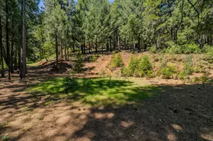 18720 Circle View Dr, Pioneer, CA 95666 - Photo 59