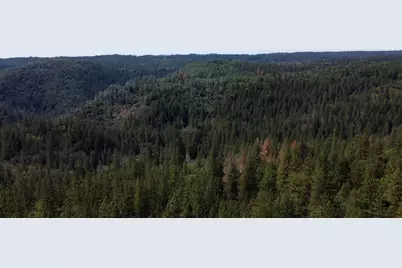 6281 Bear Creek Road, Garden Valley, CA 95633 - Photo 5