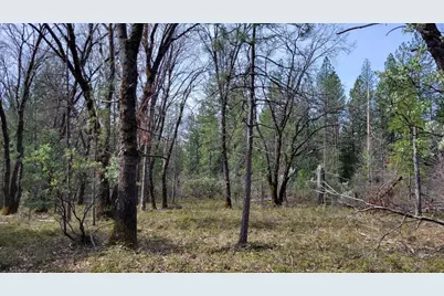 6281 Bear Creek Road, Garden Valley, CA 95633 - Photo 15