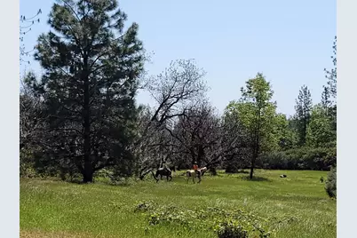 6281 Bear Creek Road, Garden Valley, CA 95633 - Photo 51