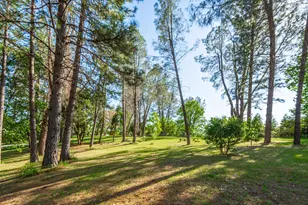 6570 Mosquito Rd, Placerville, CA 95667 - Photo 55