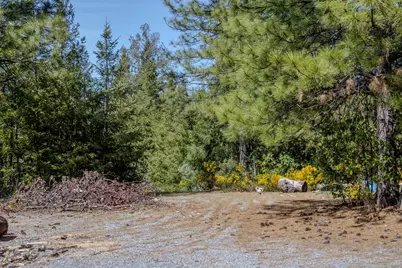 5734 Wilder Road, Georgetown, CA 95634 - Photo 13