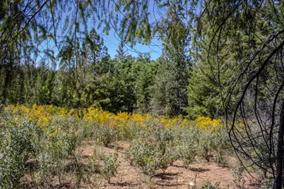 5734 Wilder Road, Georgetown, CA 95634 - Photo 29