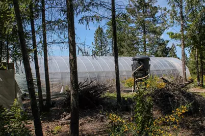 5734 Wilder Road, Georgetown, CA 95634 - Photo 89