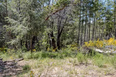 5734 Wilder Road, Georgetown, CA 95634 - Photo 93