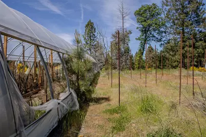 5734 Wilder Road, Georgetown, CA 95634 - Photo 51